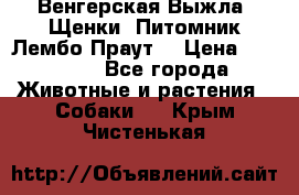 Венгерская Выжла. Щенки. Питомник Лембо Праут. › Цена ­ 35 000 - Все города Животные и растения » Собаки   . Крым,Чистенькая